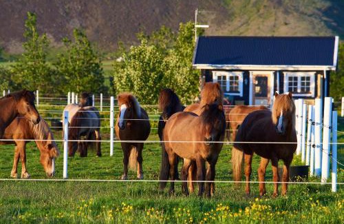 Sveitarfelagid Olfus House | Akurgerði Guesthouse 2 - Country Life Style