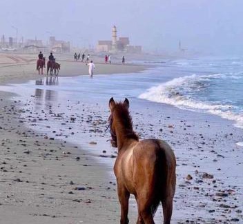 Al Ashkharah House | Al Ashkhara Beach House