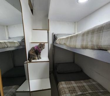 Al Barsha 1 House | Al Barsha 1 Room, Capsule, Bedspace - for Female