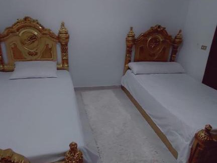 Sheikh Zayed City Apartment | Al khawaja