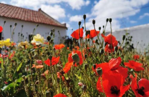 Sao Luis Apartment | AL MAR Guesthouse