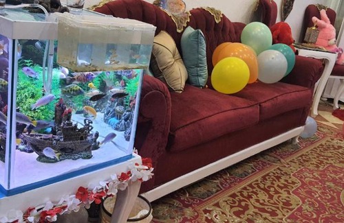 Al-'Amriyah House | Al Nakheel Guest House