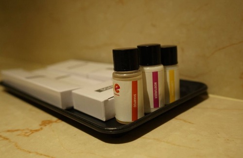 Shirdi Hotel | Alaukik Hotel