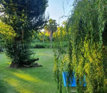 Partido de Tigre Cabin | Albaricoque