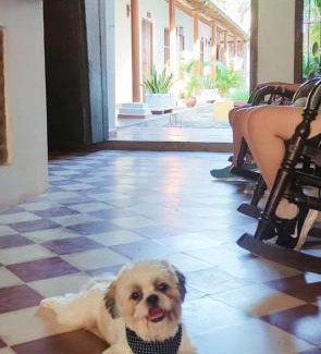 Santa Cruz de Mompox Hotel | Albarrada Hotel Boutique