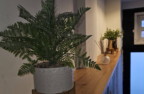 Chysauster Apartment | Albert Apartment with free Gym