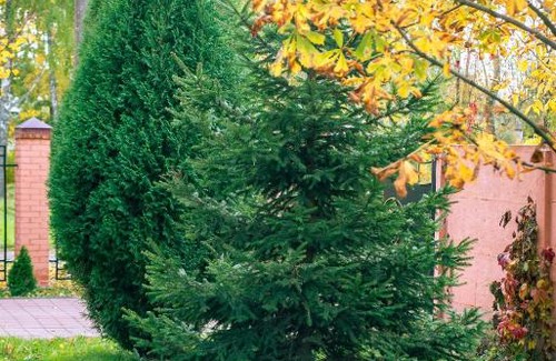 Oryol Hotel | Albert Hotel