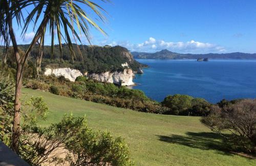Whitianga Bed & Breakfast | Albert Mews B and B
