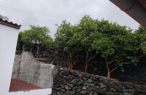 Sao Mateus Villa | Aldeia da Gingeira