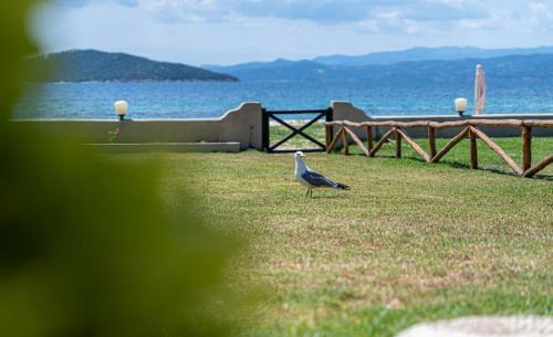 Ouranoupoli Villa | Alemar Estates Ouranoupolis