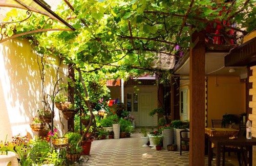 Bzhid House | Alenka