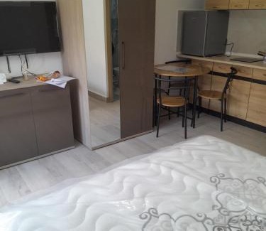 Ocna Mures Apartment | Alesia