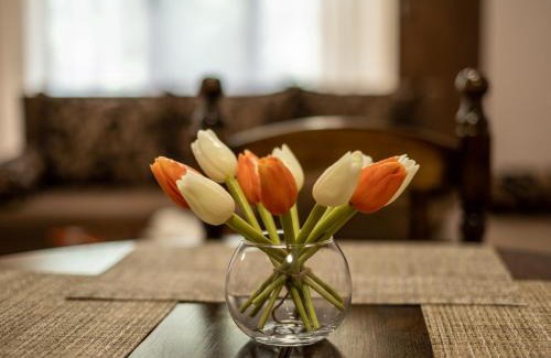 Velingrad Apartment | Alex apartment