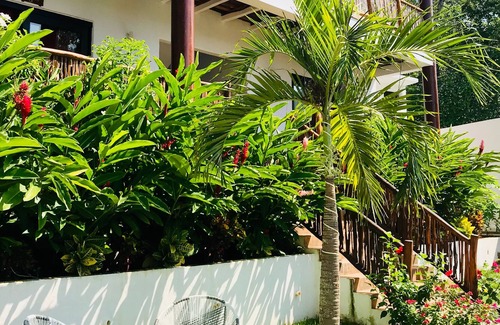 Troncones Hotel | Alfa Resort Troncones