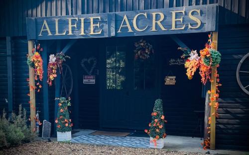 Ely House | Alfie Acres - Secluded Cabin set in 5 Acres of Privacy, with Exclusive use of Swimming Pool and Hot Tub for up to 10 Guests