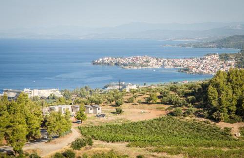Sithonia Apartment | Alikon Adult-Only
