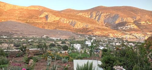 Tholaria House | Aliori art caves