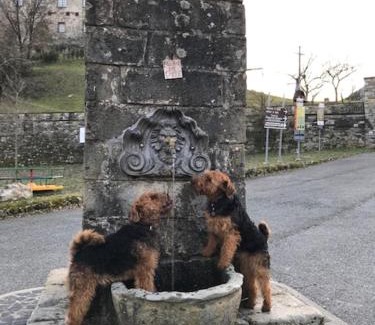 Calice al Cornoviglio Apartment | All'ombra del Castello