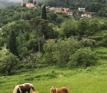 Calice al Cornoviglio Apartment | All'ombra del Castello
