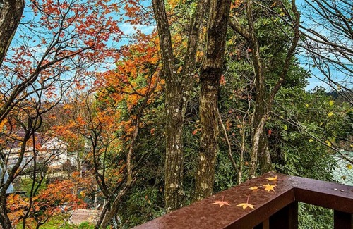 Katoomba Cottage | Allambee Cottage - a place of rest