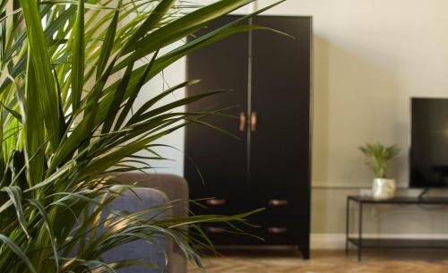 Oradea Apartment | Allegro apartments city center
