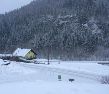 Stadl an der Mur Ski Chalet | Almchalet