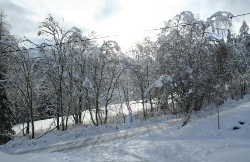Stadl an der Mur Ski Chalet | Almchalet