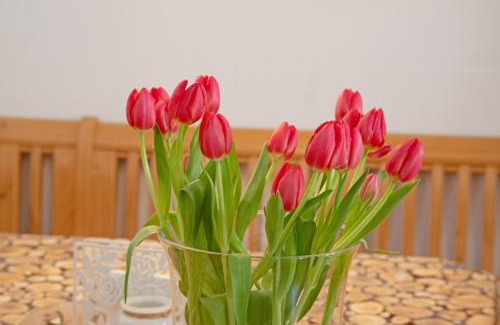 Ramsau Apartment | Almrausch Ferienwohnung