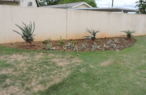 Kwambonambi House | ALOE HOUSE