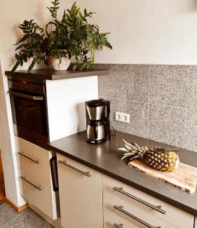 Sulzbach-Rosenberg Apartment | Aloha Annaberg
