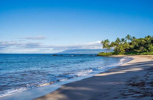 Wailea Apartment | Aloha Moon - A Chic and Dreamy Modern Tropical Hideaway!