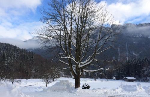 Aschau im Chiemgau Apartment | Alpaka-Hof Landinger