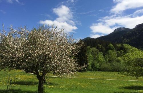 Aschau im Chiemgau Apartment | Alpaka-Hof Landinger