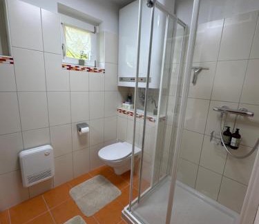 Stainach-Purgg House | Alpenchalet im Steirischen Salzkammergut