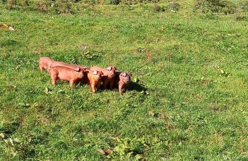 Dornauberg Ski Chalet | Alpenchalet Lengau