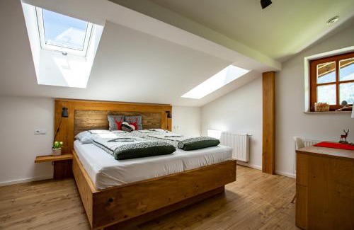 Abtenau Apartment | Alpenhaus Dachstein.Zauber