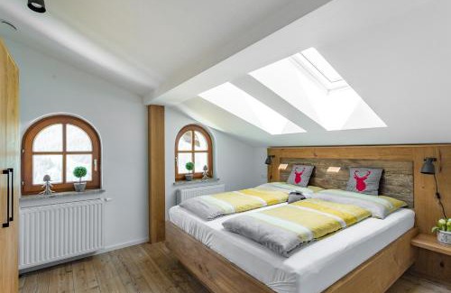 Abtenau Apartment | Alpenhaus Dachstein.Zauber