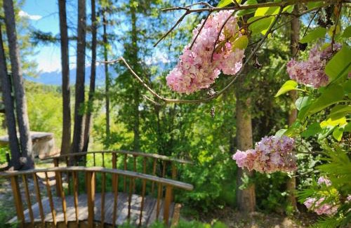 Golden Ski Chalet | Alpenrose 4, Hottub, Mountains View, AC, sleep 5
