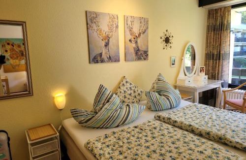 Bad Reichenhall Apartment | Alpenschwänchen 2 - Salzschwänchen