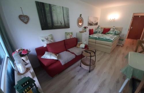 Bad Reichenhall Apartment | Alpenschwänchen 4 - Saalachschwänchen