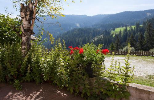 Racines Hotel | Alpenspitz Appartements - Garni - B&B