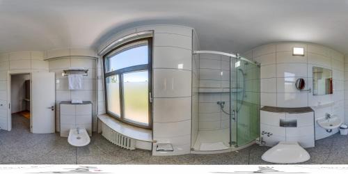 Rosenheim Apartment | Alpina home