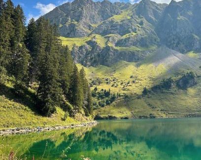 Les Mosses House | Alpine Dream Chalet with Spa close to Lake Geneva