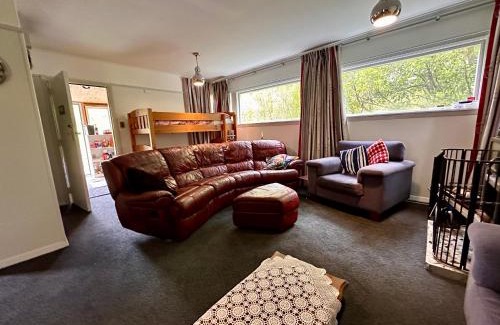 Otira House | Alpine House, Holiday Home, Sleeps 6, Super Cosy, 4 beds
