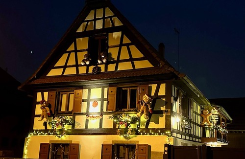 Hangenbieten Apartment | Alsace Gîte 3 * "Coeur de Cigogne" -15 minutes Strasbourg/Obernai