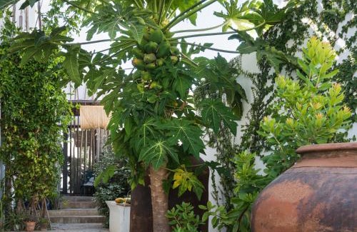 Tavira Hotel | Altanure Almatere - Food Forest Boutique Stay