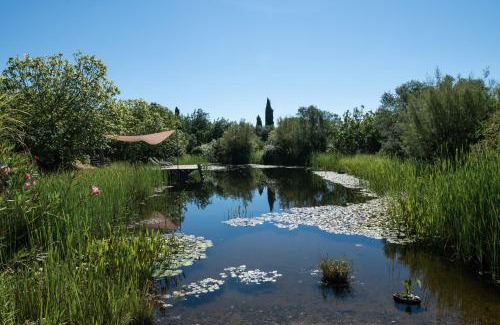 Santo Estevao Hotel | Altanure Casa Terra - Ecological Boutique Stay