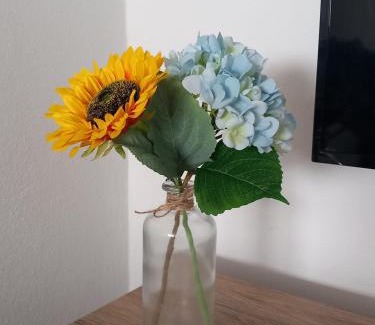 Nordeste House | Alto do Sossego