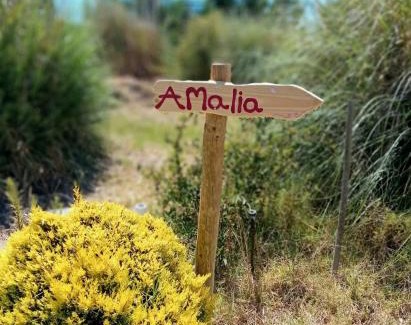 Baiona Cabin | Amália Beach Quinta! 5 Min Coast! Shared Outdoors