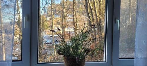 Waldkirch Apartment | Am Wald